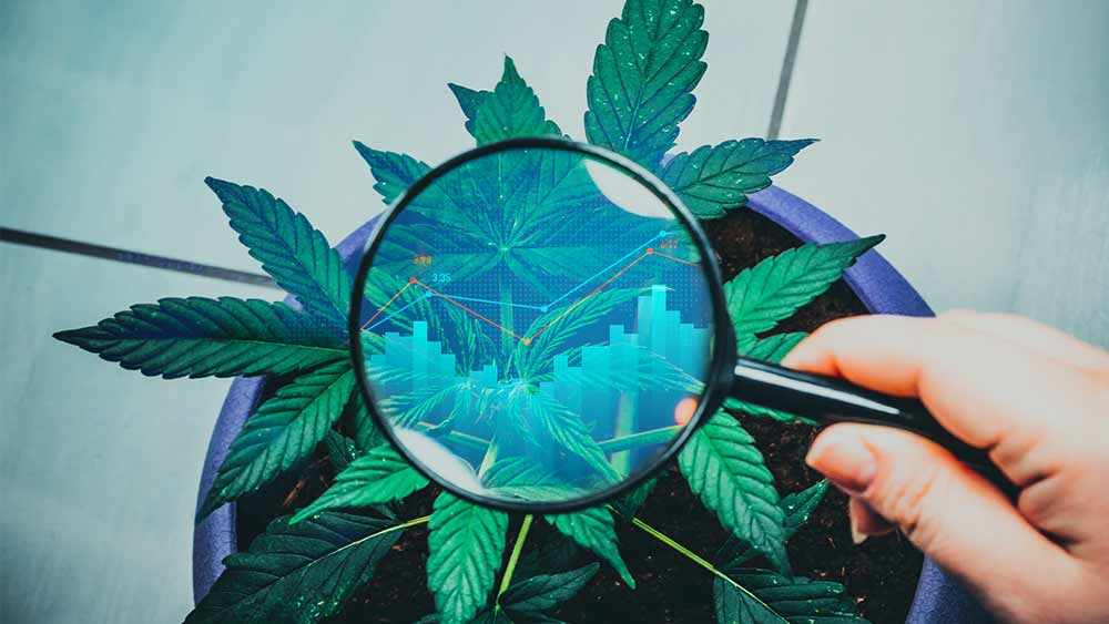 U.S. cannabis testing market to hit $1.2 billion in 2026