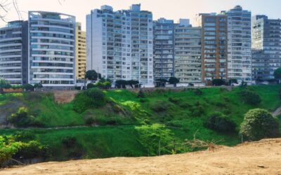 Cannabis-Based Drug Approved For Cancer Treatment In Peru