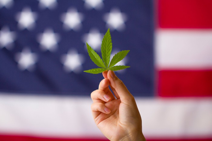 Curaleaf Management Thinks the New Congress Could Pass This Cannabis Bill First