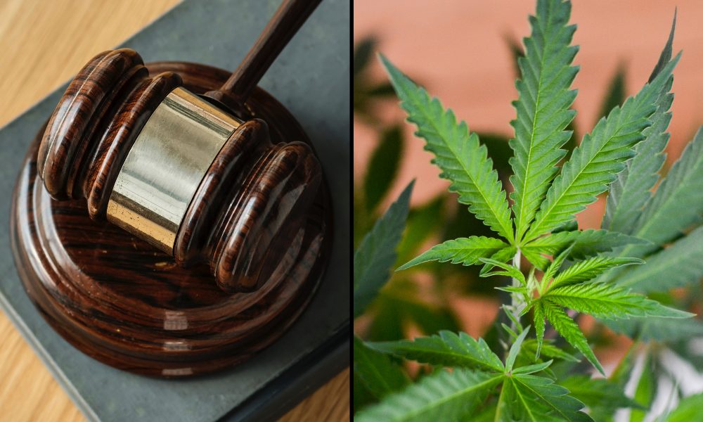 Mississippi And South Dakota Officials Defend Marijuana Ballot Measures Against Legal Challenges