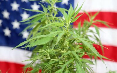 Democrats aren’t alone in the cannabis game anymore