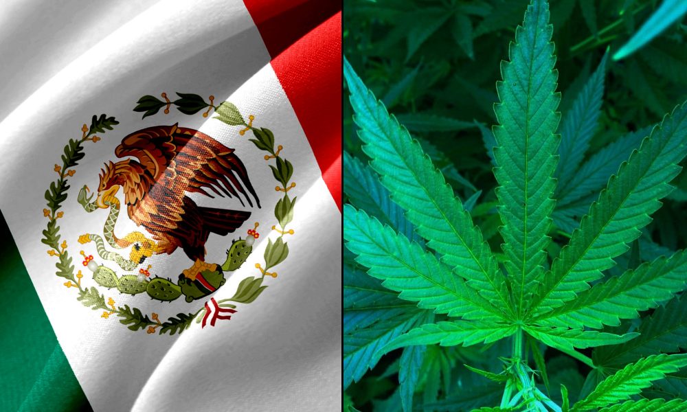 Mexican Lawmakers Circulate Amended Marijuana Legalization Bill That’s Set For A Vote On Monday