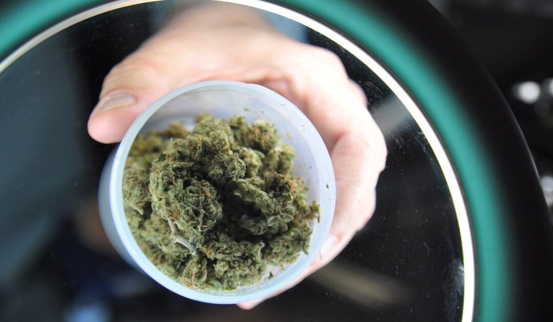 Jamaica Hosts “Candid Conversation about Cannabis” with Regulators, Officials