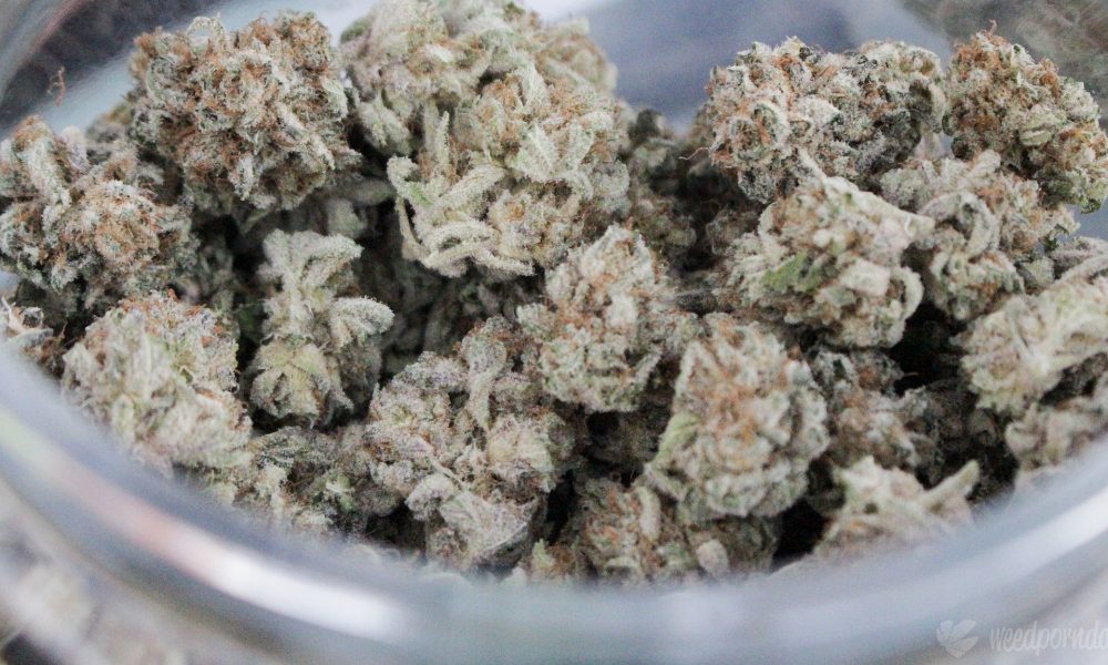 Ohio Marijuana Activists Cleared To Collect Signatures For 2022 Legalization Ballot Initiative