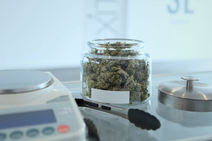 Learning Risk Management and Compliance From the Cannabis Industry