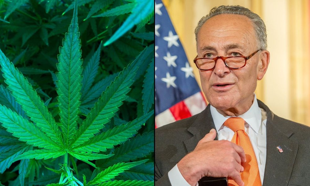 Chuck Schumer Says Key Senators Have ‘Agreement’ Not To Advance Marijuana Banking Reform Before Legalization