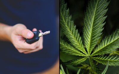 DUI Protections For Pennsylvania Medical Marijuana Patients Derailed Following Police Pushback