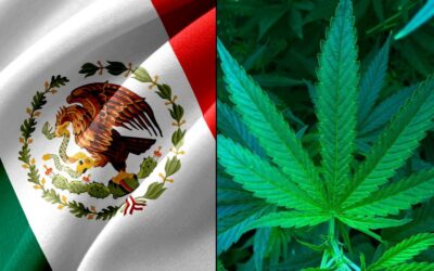 Mexican Senators Circulate Draft Marijuana Legalization Bill, With Vote Expected Within Weeks