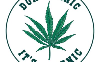 Medical Marijuana Drives 6x Improvement In Killing Cancer Cells, Reasearch Suggests