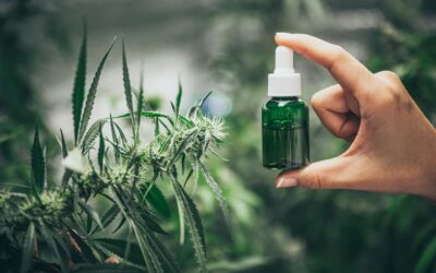 Reeves favors medical marijuana legislation with a lesser amount dispensed to patients