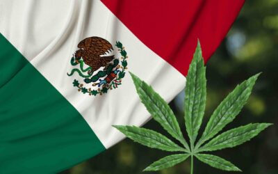 Mexico has a new marijuana legalization bill. Here’s what’s in it