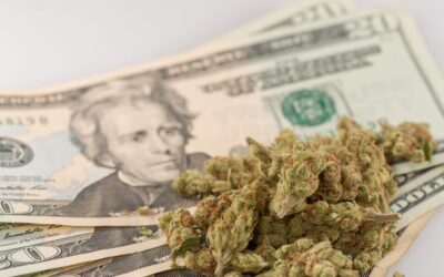 Illinois Collects Nearly $100 Million More From Marijuana Tax Revenue Than Alcohol In 2021, State Data Shows
