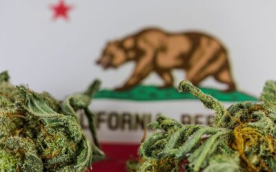 California Cannabis Operators Warn of Possible Industry Collapse