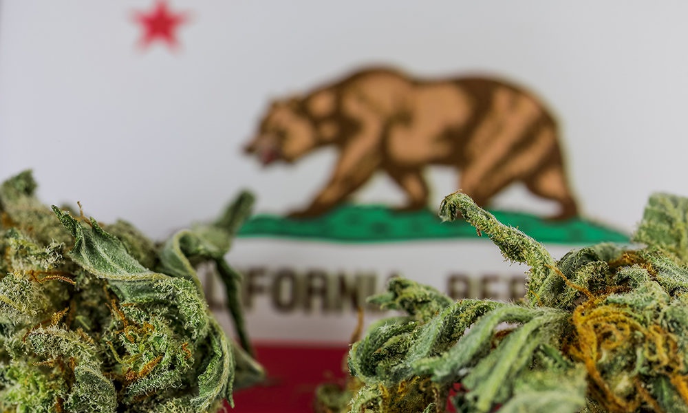 California Cannabis Operators Warn of Possible Industry Collapse