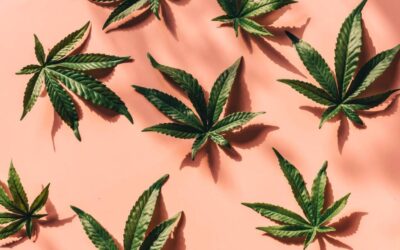 Identifying The 3 Biggest Challenges Facing The Cannabis Industry Heading Into 2022