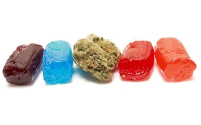 Minnesota: Regulators Okay Patients’ Access to Cannabis-Infused Edible Products