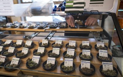 IRS could collect taxes from pot firms if they used big banks, Yellen says