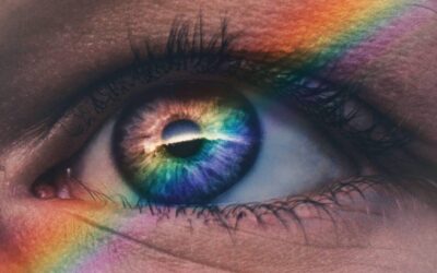 NY Senator Files Bill To Include Gay, Lesbian & Bisexual People For Cannabis Equity Benefits