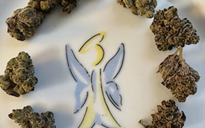 CRC rules will govern marijuana use in New Jersey