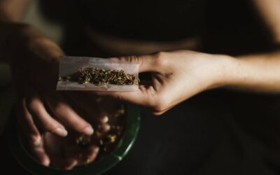 Cannabis Equity And The Promise Of Reparations For The War On Drugs