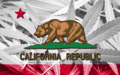 Ahead of Emerald Cup Harvest Ball, cannabis growers raise alarm over taxes, regulations
