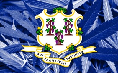 Group forms to help give equal access to Connecticut’s new cannabis market