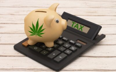 Illinois’ weed tax windfall tops $560 million. Here’s where the money goes.