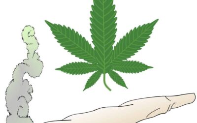Oklahoma State Bank Selects Shield Compliance As Cannabis Banking Partner