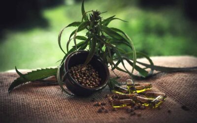 Texas is evolving on marijuana, so what would it take to change the laws?