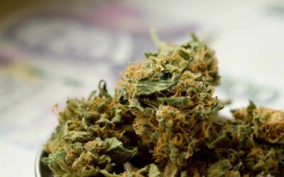 How Germany Can Enter The Adult-Use Cannabis Market Successfully