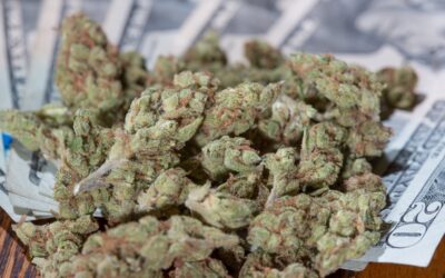 Arizona Hits Recreational Marijuana Sales Record, With New Program Catching Up To Medical