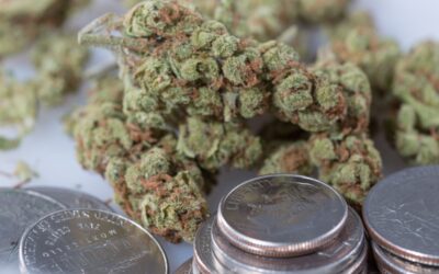Congressman Files New Marijuana Banking Reform Amendment To Large-Scale House Bill