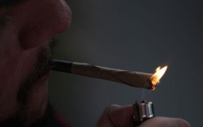 Kentucky marijuana legalization 2022: Kulkarni pushes to decriminalize cannabis