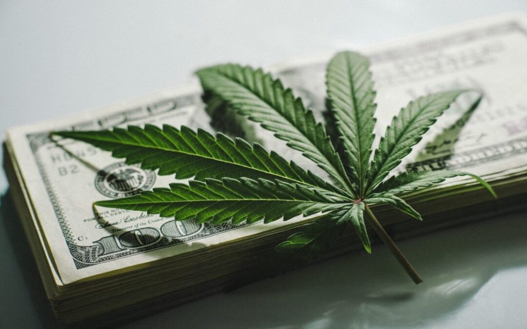 Financial Regulator Calls Lack Of Banking Access In Cannabis A Serious Market Failure
