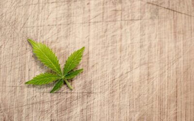 Hundreds Of New York Municipalities Will Allow Marijuana Businesses As Opt-Out Deadline Passes