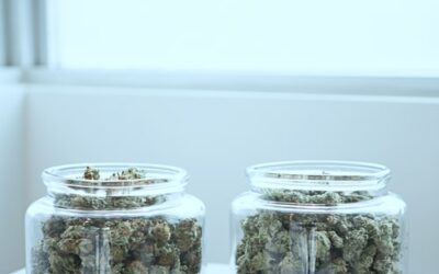 Planting the seeds: The present state and potential prospects of medical cannabis in Tennessee