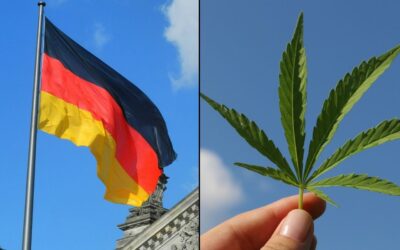 Top German Government Official Previews Marijuana Legalization Plan Details
