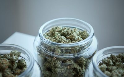 New York Doctors Can Now Recommend Medical Marijuana To Patients For Any Condition They See Fit