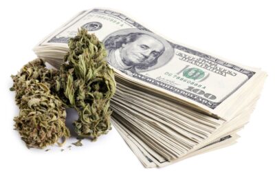 How Does Legal Weed Affect Banking Activity? News Study Has Answers