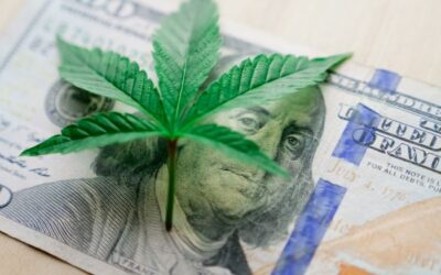 Michigan Collects $271 Million In Cannabis Tax Revenue Since 2019