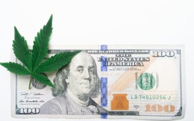 Cannabis banking is booming despite federal uncertainty