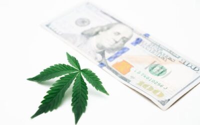 U.S. Cannabis Sales Topped $37 Billion in 2021. Will Sales Decline in 2022?