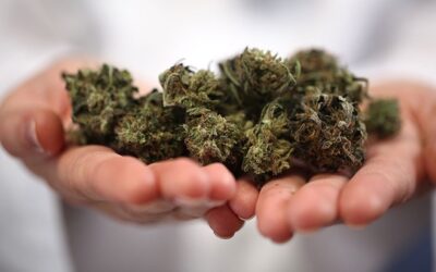 Oregon: New Rules Increase the Amount of Cannabis Adults Can Purchase Per Transaction