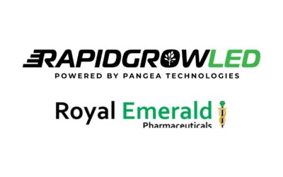 DEA Awards Licenses for Cannabis Production and Medical Research