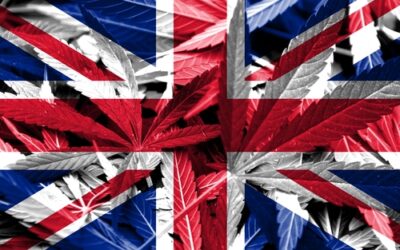 Cannabis-Cautious Financial Regulators Delay UK Cultivator’s London Stock Exchange Plans