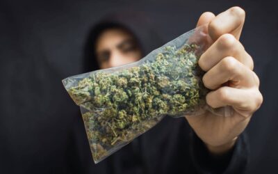 How Accessibility Is Destroying The Legal Marijuana Industry In America