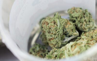 New York Senator Files Marijuana Recycling Bill To Mitigate Environmental Impact Of New Industry