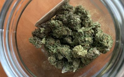 Cannabis Store Co-owned By Top Virginia Senator Sells Mislabeled Products With Illegal THC Content, Media Investigation Finds