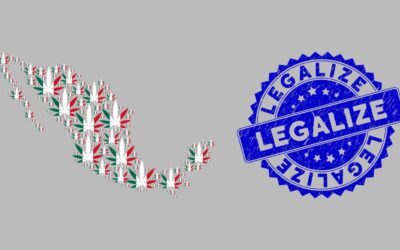 Mexico Cannabis Update: Another Missed Deadline and Political Nepotism
