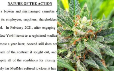 Ascend Wellness Files Amended Complaint Against MedMen